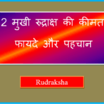 2 mukhi rudraksha