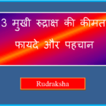 3 mukhi rudraksha