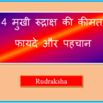 4 mukhi rudraksha