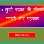 5 mukhi rudraksha